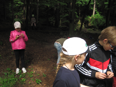 2AZalesnimistrasidylky (17)